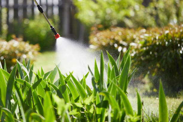 24/7 Emergency Cockroach Control experts in Lincolnton, GA