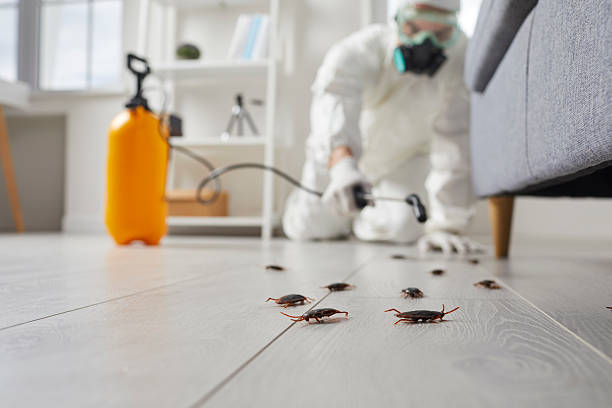 Trusted Cockroach Control service in Lincolnton, GA - Nex Pest Control
