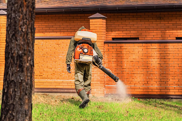 Trusted Bed Bug Control service in Lincolnton, GA - Nex Pest Control